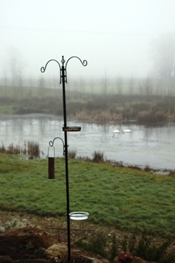 New Bird Feeder Station New Bird Feeder Station