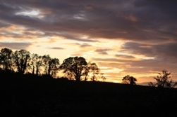 Sunset Sunset