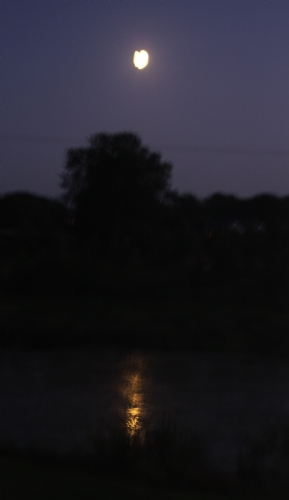 I see the moon and the moon sees me. I see the moon and the moon sees me.