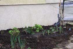 Plants Out Of Waiting. Plants Out Of Waiting.