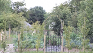 Kitchen Garden Kitchen Garden