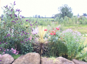 View to the south over the NW Bed. View to the south over the NW Bed.