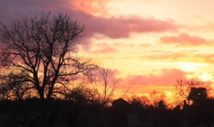 Sky on Fire Sky on Fire