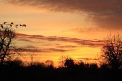 Sky on Fire Sky on Fire