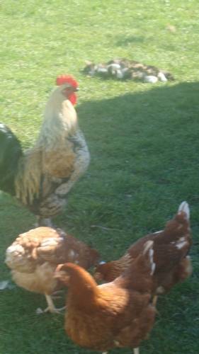 even the animals appreciate the sunny day. even the animals appreciate the sunny day.