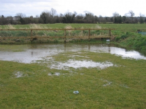 Waterlogged Waterlogged