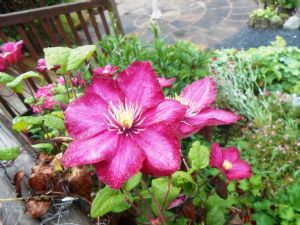 Reply to DeclanFromTipp Reply to DeclanFromTipp
