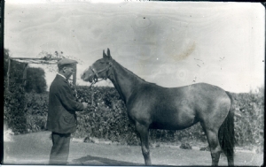 My Grandfather My Grandfather