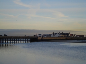 Bull Island Bull Island