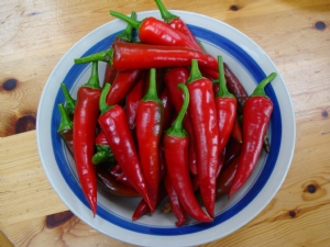 Cayenne chili Cayenne chili