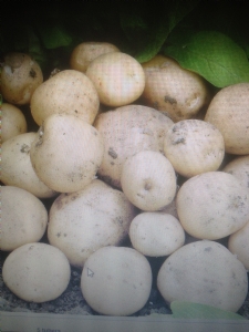 Early Potatoes Early Potatoes