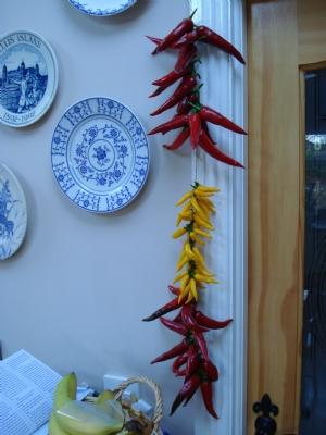 Storing this years chilies Storing this years chilies
