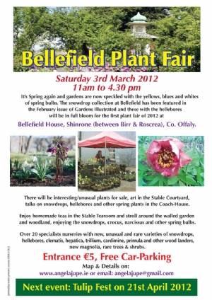 Bellefield Plant Fair Bellefield Plant Fair