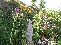 Giant Alliums Giant Alliums
