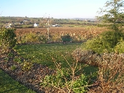 long border, looking into the top of the F long border, looking into the top of the F