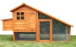 Hens Hens