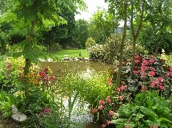Tombrick Garden Tombrick Garden