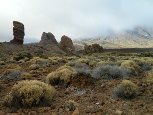 At the base of the Teide Volcano At the base of the Teide Volcano