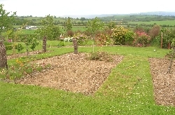 new area new area
