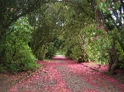 Broadwalk Broadwalk