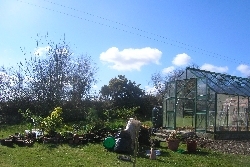 Glasshouse Clean Up Glasshouse Clean Up