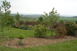 Mine to Plant Mine to Plant