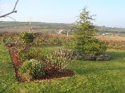 mulched long border mulched long border