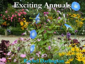 Exciting Annuals Talk Bunclody Exciting Annuals Talk Bunclody