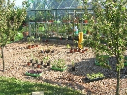 Annuals Border Annuals Border