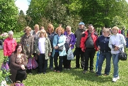 the gang the gang