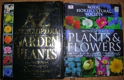 Bible v New Testament Bible v New Testament