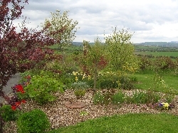 spring border, planted 2009 spring border, planted 2009