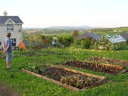 Vegetables Vegetables