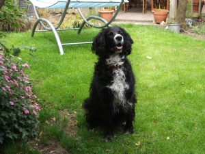 minding the garden for me!!! minding the garden for me!!!