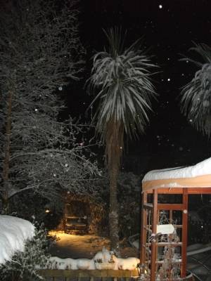 Oh No More Snow!!! Oh No More Snow!!!