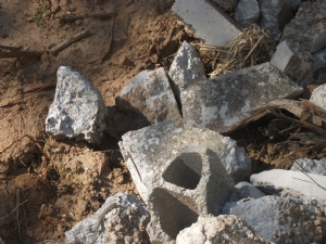 Groden Gecko - 1st stone left hand side at bottom of photo Groden Gecko - 1st stone left hand side at bottom of photo