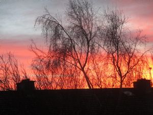 Chilly Sunrise Chilly Sunrise