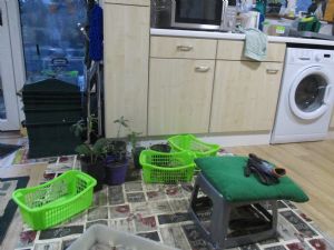 Kitchen Gardening Kitchen Gardening