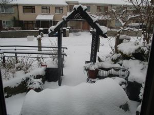 Out my front window Feb 28 2018 Out my front window Feb 28 2018