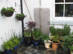 Pots Pots