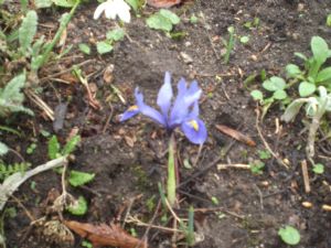 Just a little spot of blue! Just a little spot of blue!