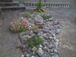 Ive put in two prostrate junipers among the cobbles surrounding the ball fountain Ive put in two prostrate junipers among the cobbles surrounding the ball fountain